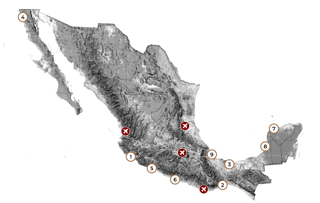 Accelerate public works - roads, water, railways, ports and airports, mixed investment, schools and hospitals